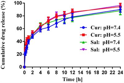 Co-delivery of Salinomycin and Curcumin for Cancer Stem Cell Treatment by Inhibition of Cell Proliferation, Cell Cycle Arrest, and Epithelial–Mesenchymal Transition